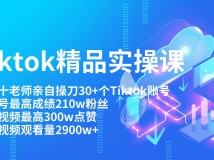 TiktokƷʵٿ Բٵ30+Tiktok˺ţ˺210w˿͵Ƶ300w